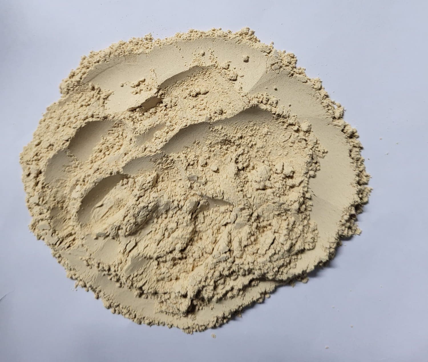 Garlic Powder