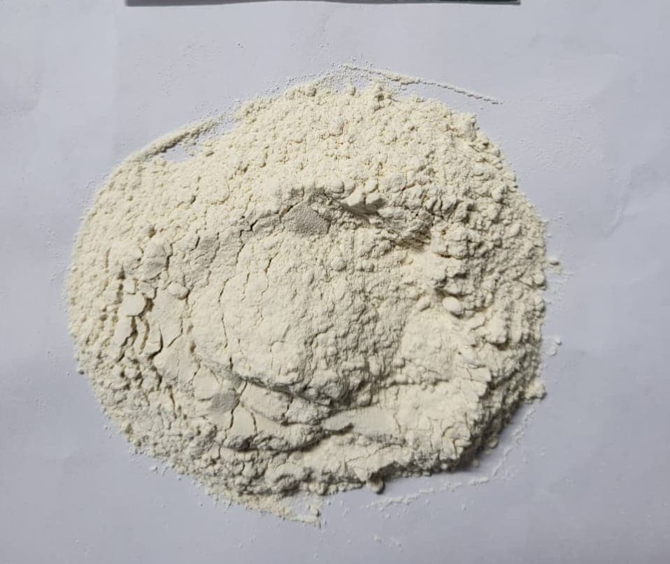 White Onion Powder